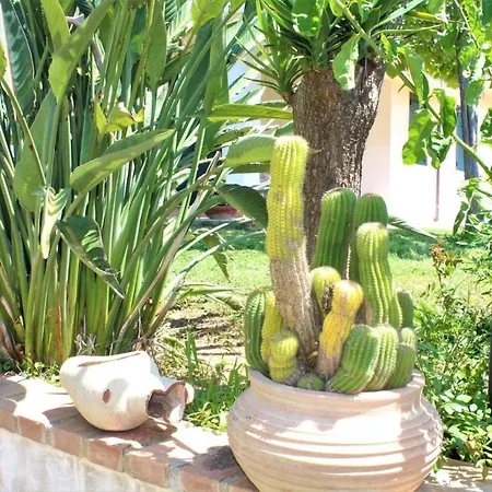 Apartament Faro