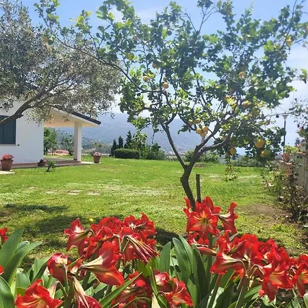 Apartament Faro